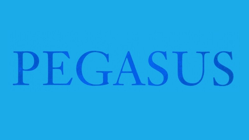 Pegasus Heft 20.2020 erschienen